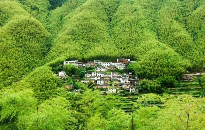 江西-醉美婺源篁岭 屯溪老街 木坑竹海 灵山花海 纯玩三日游